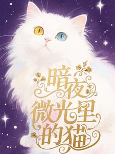 暗夜微光里的猫